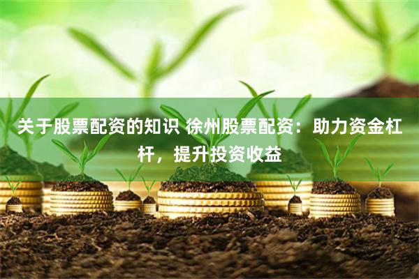 关于股票配资的知识 徐州股票配资：助力资金杠杆，提升投资收益